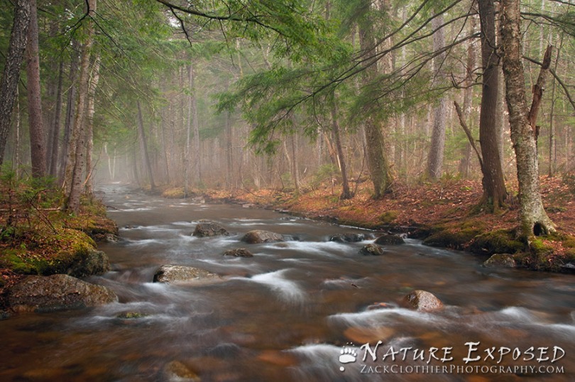 "An Early Spring" - Adirondack State Park, New York