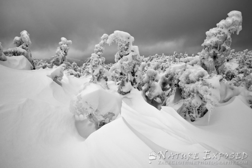 "Frozen Wonders" - Adirondack State Park, New York